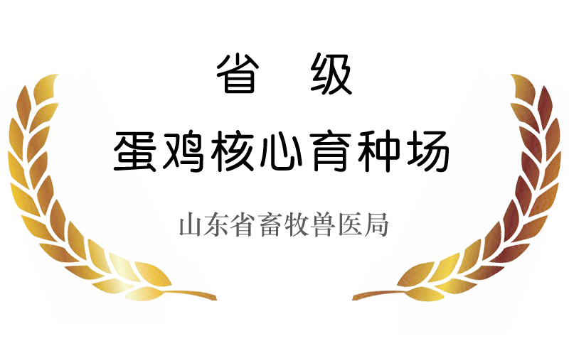  ɽ������ũ���Ƽ��ɷ����޹�˾ʡ�������������ֳ� 