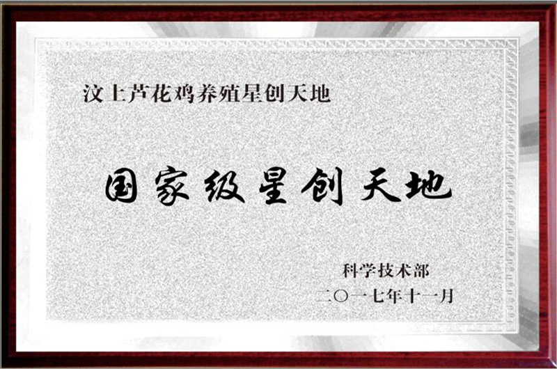 ���Ҽ��Ǵ����