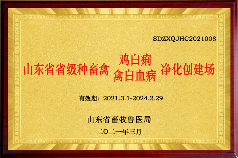 ʡ�������ݾ���������