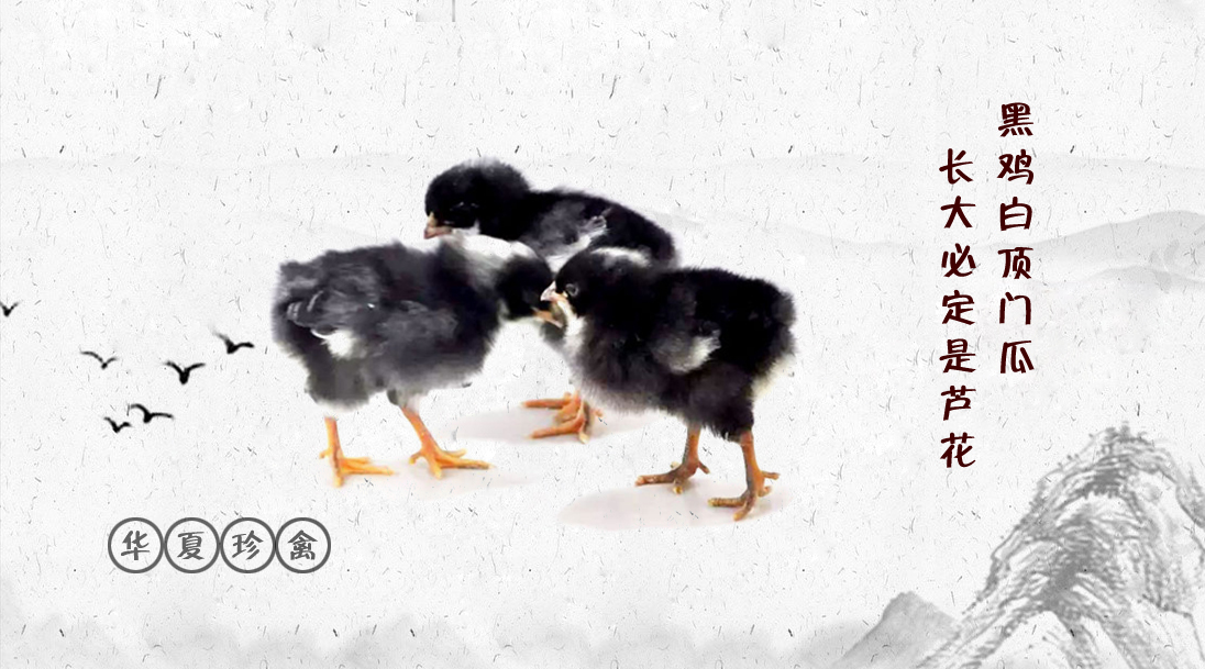 ɽ������ũ���Ƽ��ɷ����޹�˾����ũ��Ʒ